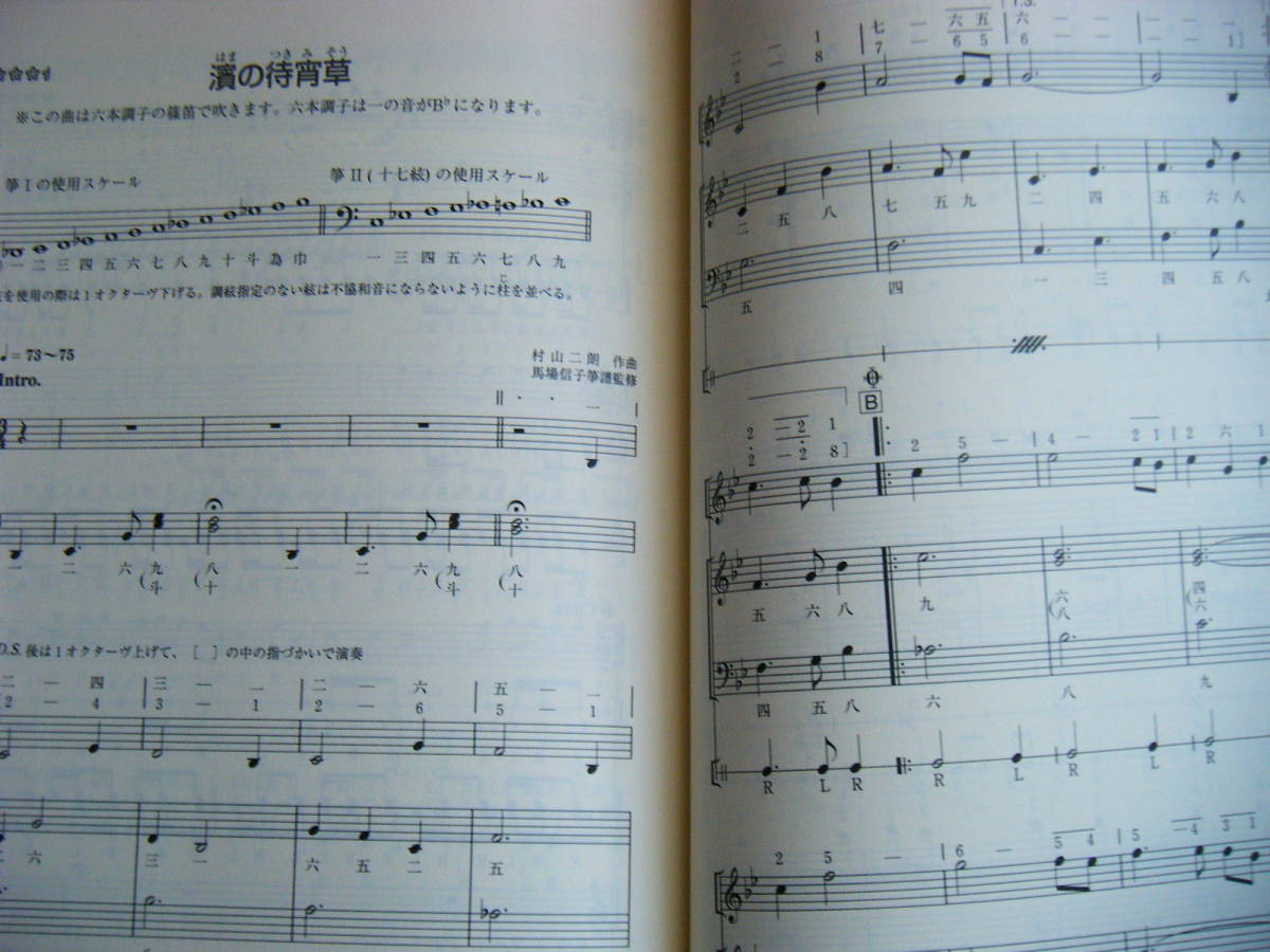 ヤフオク イラストで見る 篠笛ワークショップ 村山二朗 ヤフオク イラストで見る 篠笛ワークショップ 村山二朗