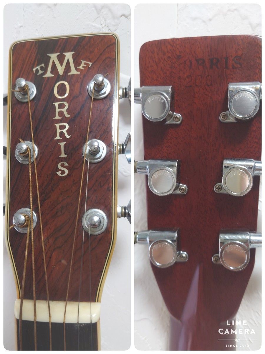 Morris TF W50 フォークギター アコースティックギター モーリス Morris TF W50 フォークギター アコースティックギター モーリス