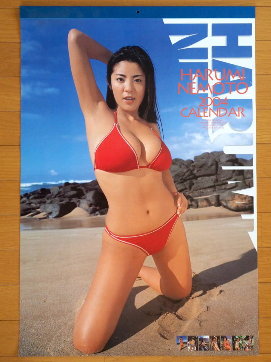 2004 year Nemoto Harumi B2 calendar unused storage goods 