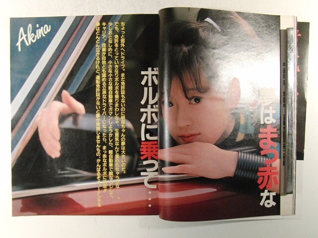 平凡1983年11月号◇松田聖子/岩井小百合/小泉今日子/柏原芳恵 平凡1983年11月号◇松田聖子/岩井小百合/小泉今日子/柏原芳恵