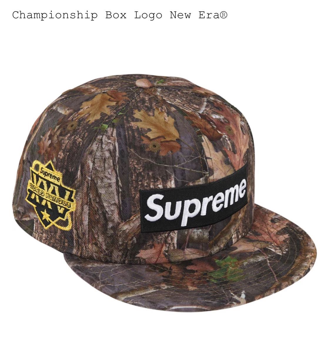 Supreme Championship Box Logo New Era