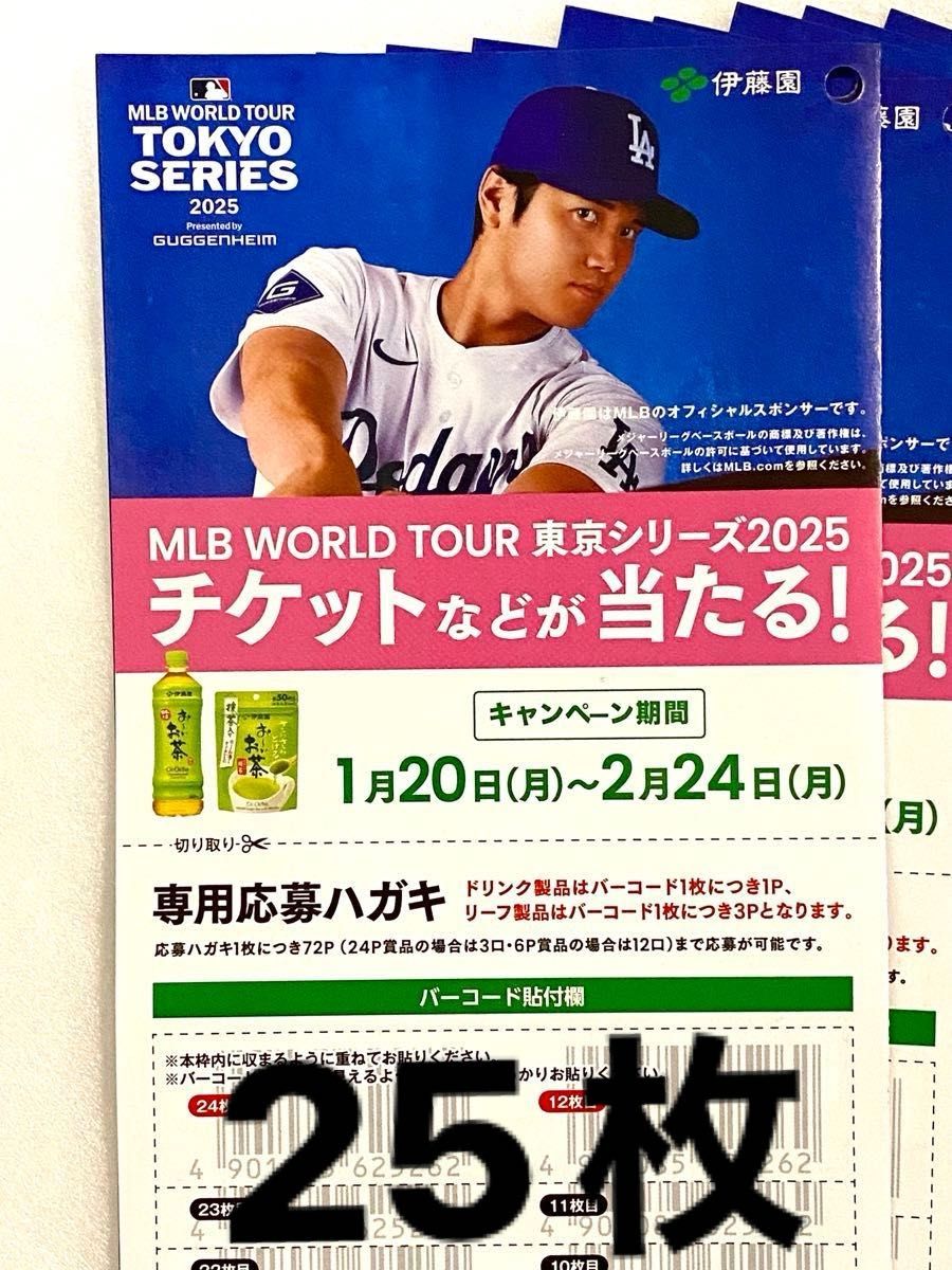 懸賞応募 伊藤園 おーいお茶 大谷翔平 MLBワールドツアー東京 懸賞応募 伊藤園 おーいお茶 大谷翔平 MLBワールドツアー東京