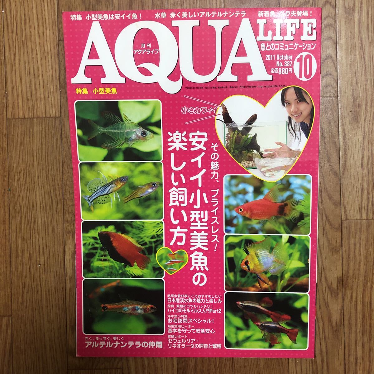 月刊アクアライフ☆AQUA LIFE☆2011年10月号☆小型美魚☆アルテルナンテラ☆日本産淡水魚☆セウェルリア・リネオラータ☆_画像1