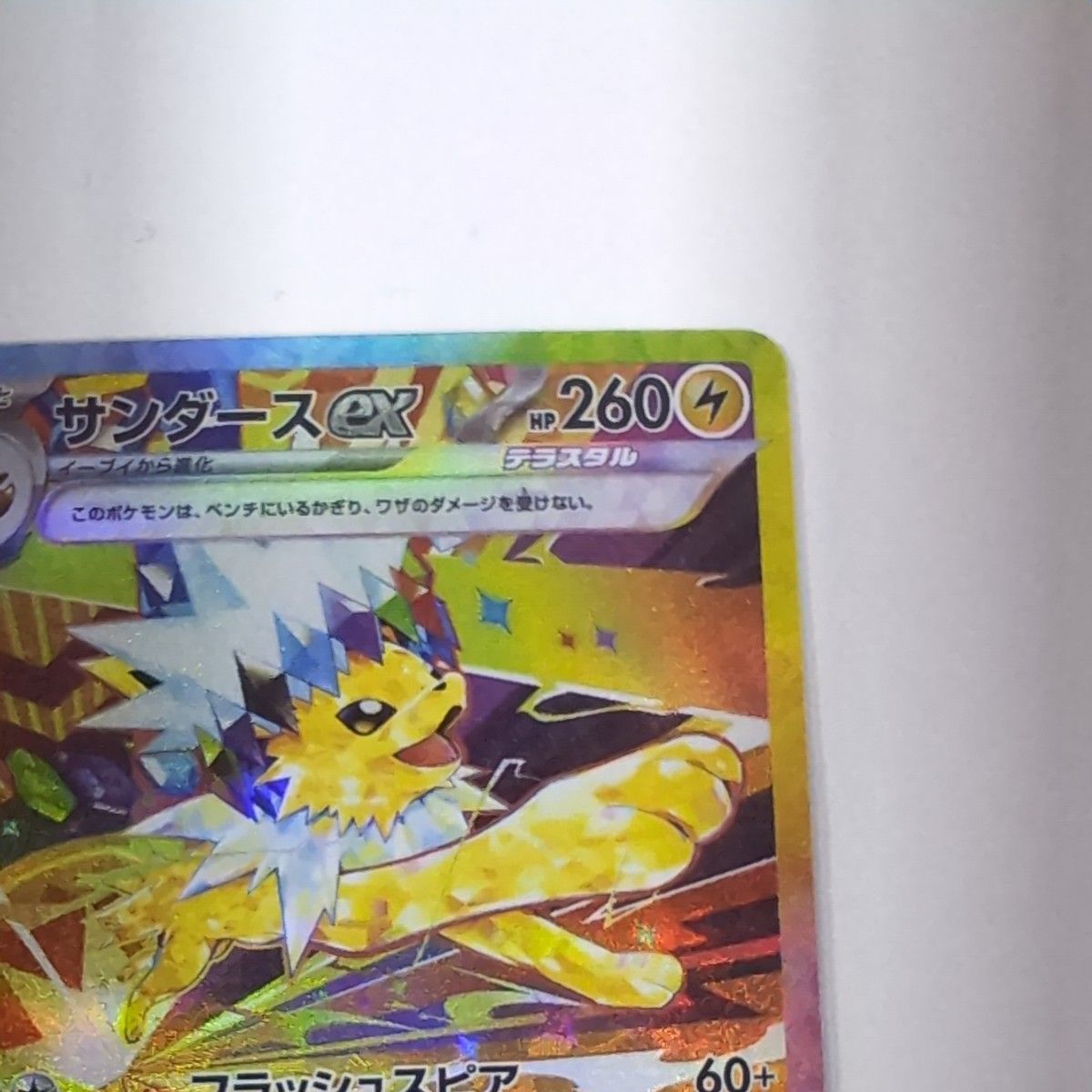 ポケモンカード 【エラーカード】 テラスタルフェスex ポケモンカード 【エラーカード】 テラスタルフェスex