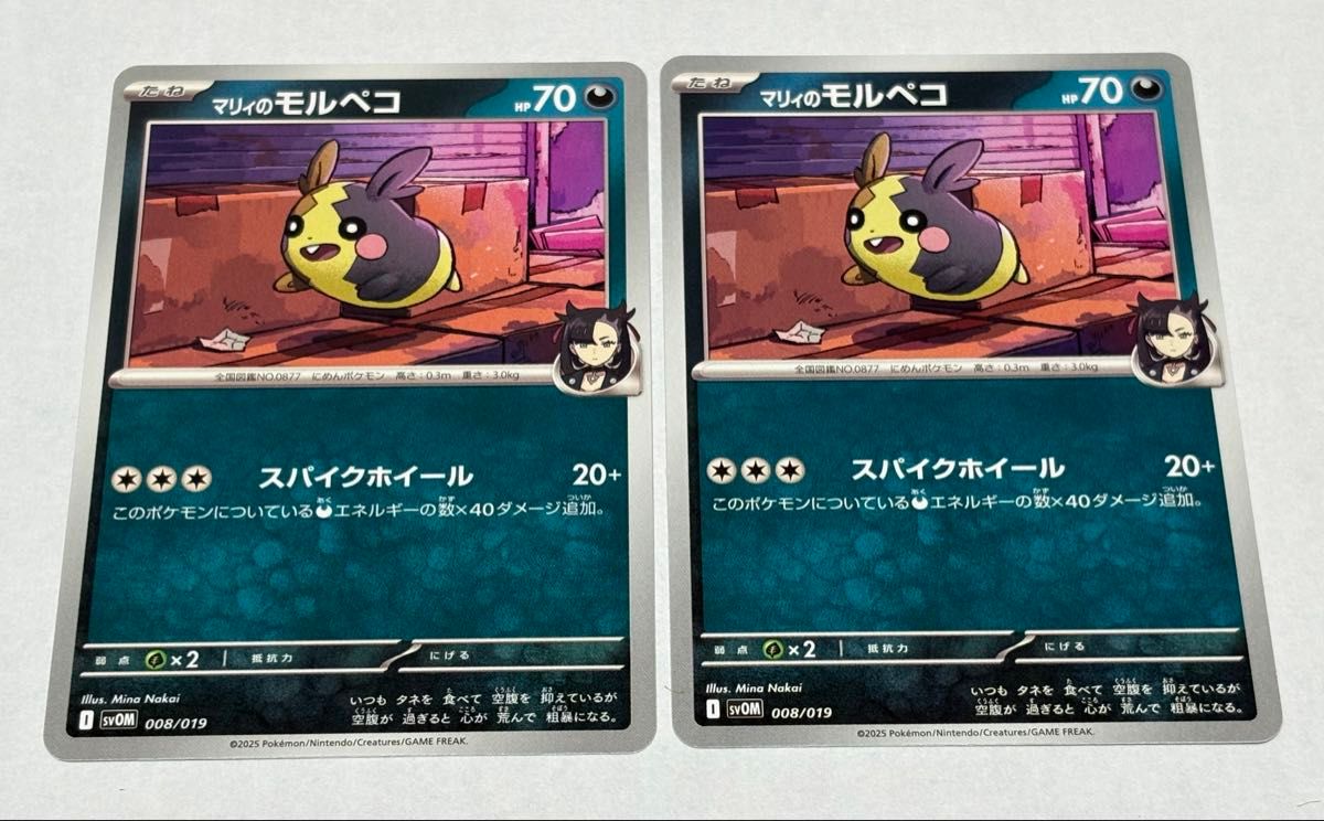 ポケモンカード スターターセットex マリィのモルペコ ポケモンカード スターターセットex マリィのモルペコ