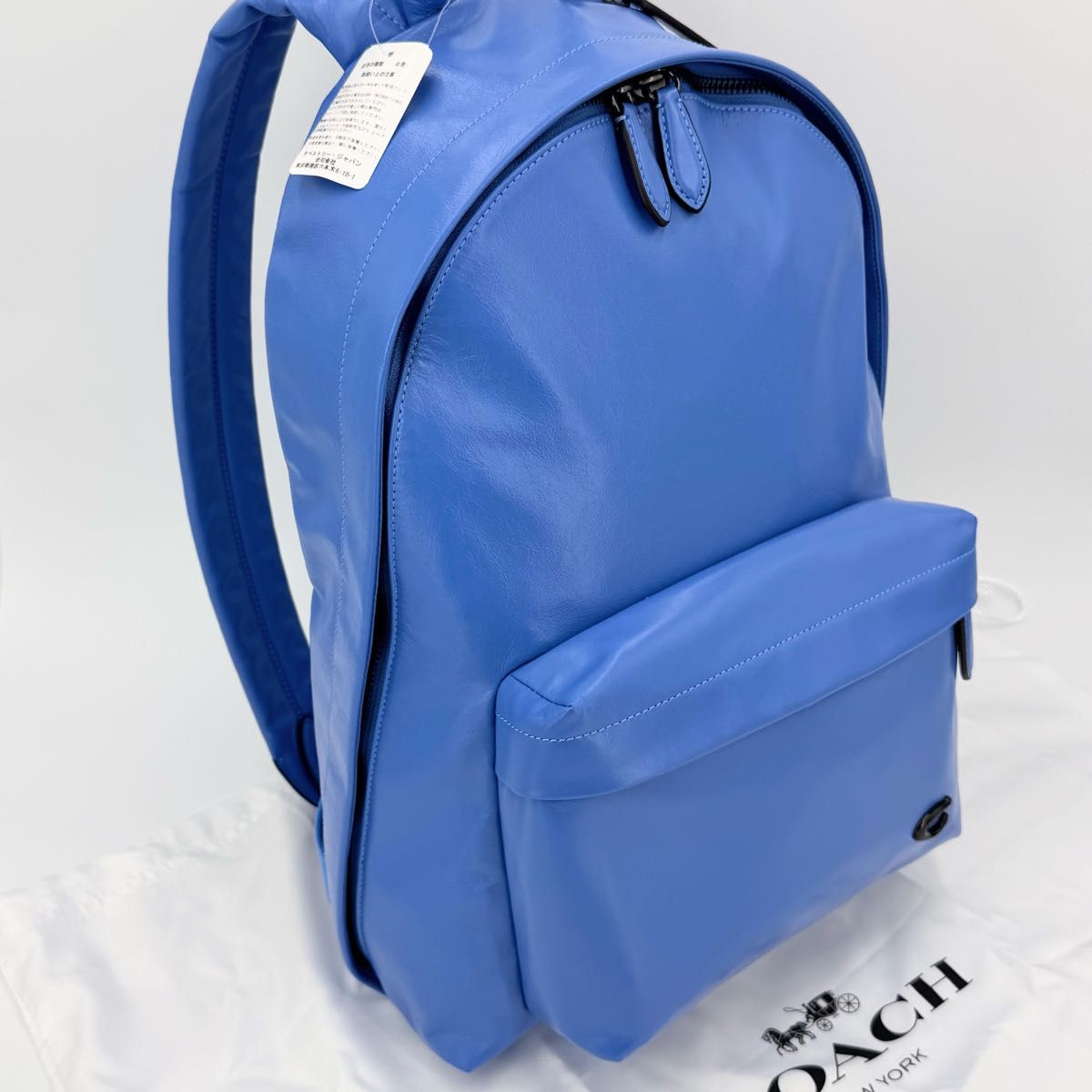 COACH コーチ リュック リュックサック バックパック ショルダー COACH コーチ リュック リュックサック バックパック ショルダー