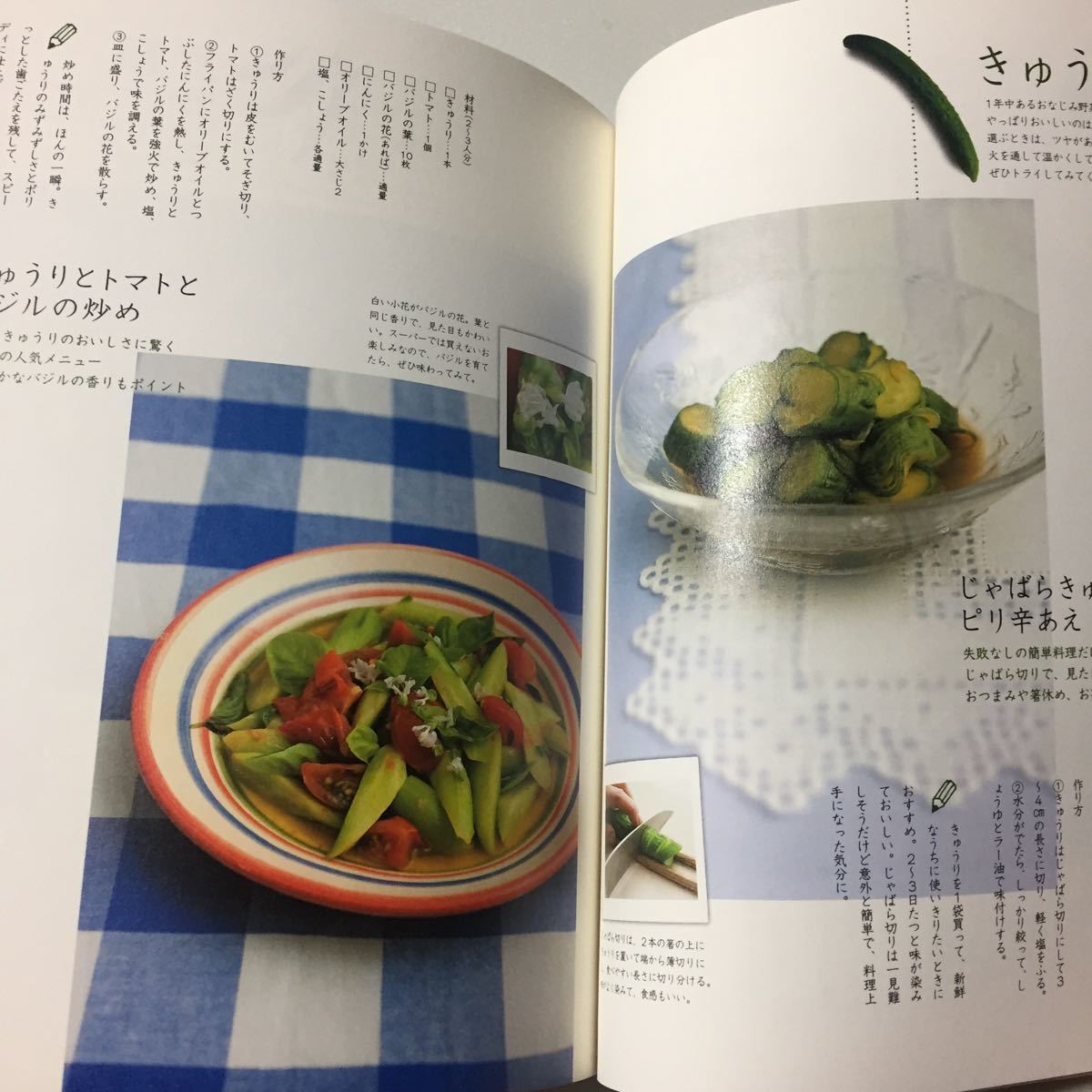 おうち野菜でかんたんごはん　帯・ポストカード付 岡井路子
