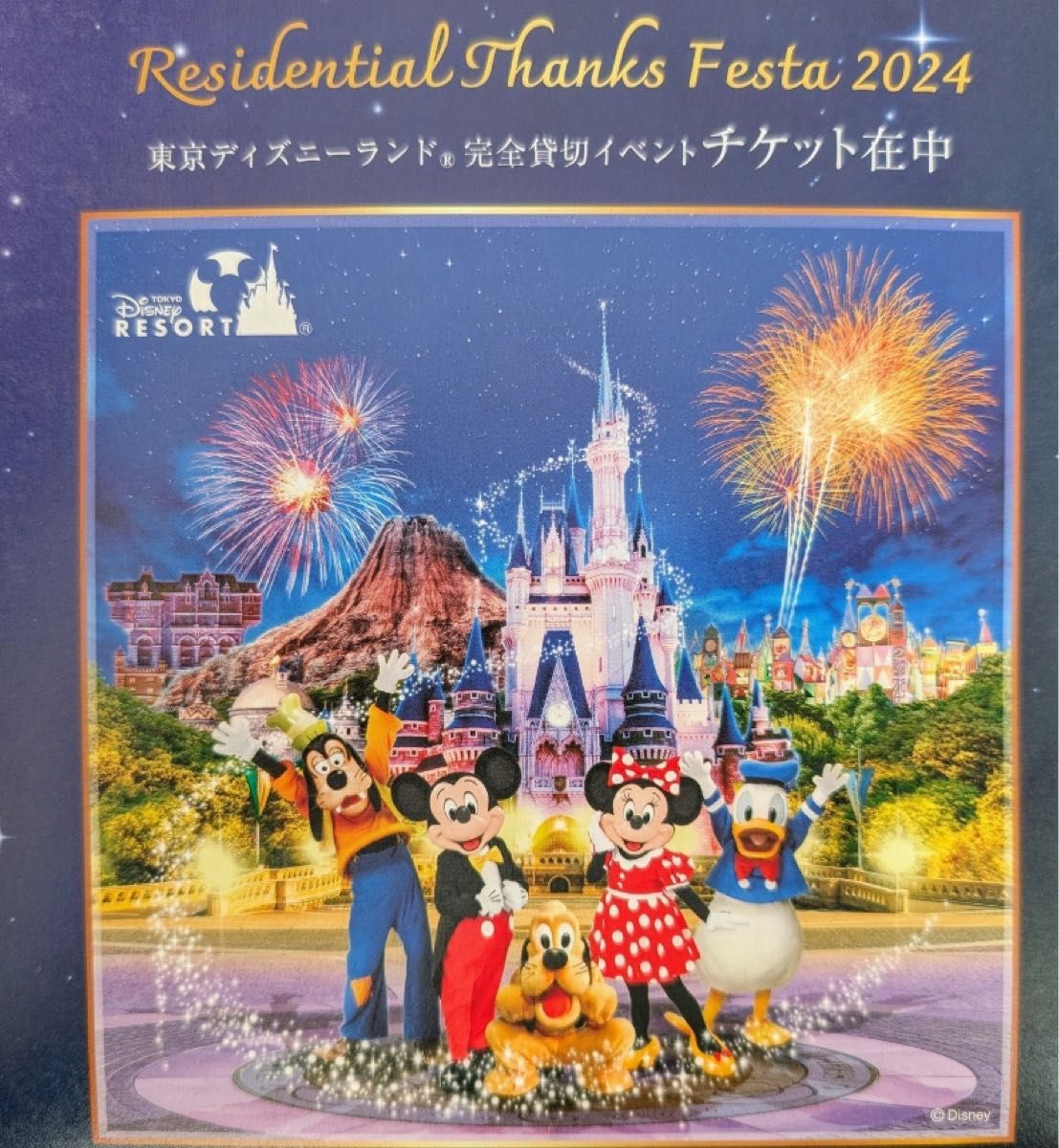 2025/2/21東京ディズニーランド 貸切 チケット 三井不動産 2025/2/21東京ディズニーランド 貸切 チケット 三井不動産