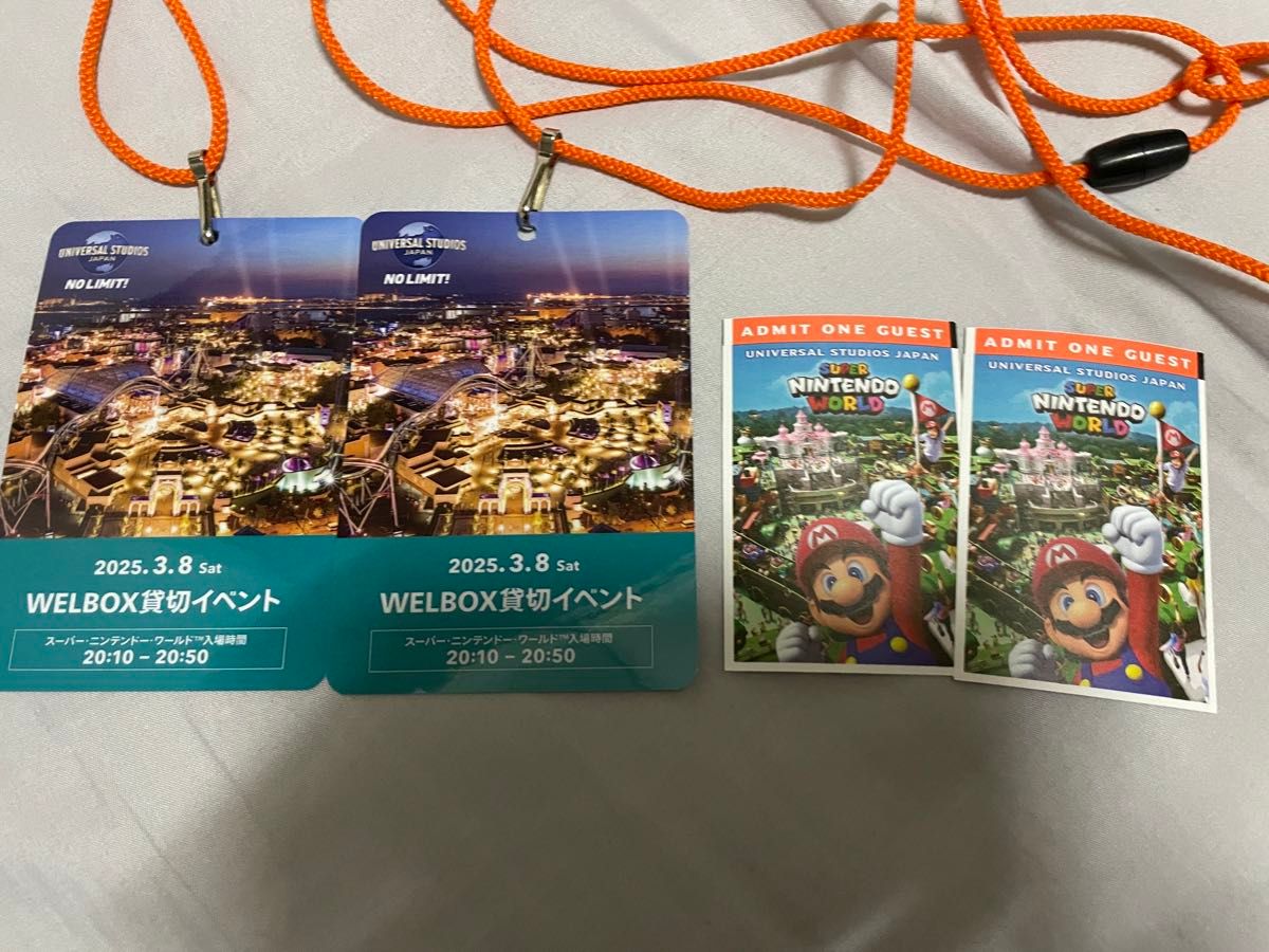 USJ 3/8(土) 貸切 チケット 2枚 ニンテンドーワールド入場可 USJ 3/8(土) 貸切 チケット 2枚 ニンテンドーワールド入場可