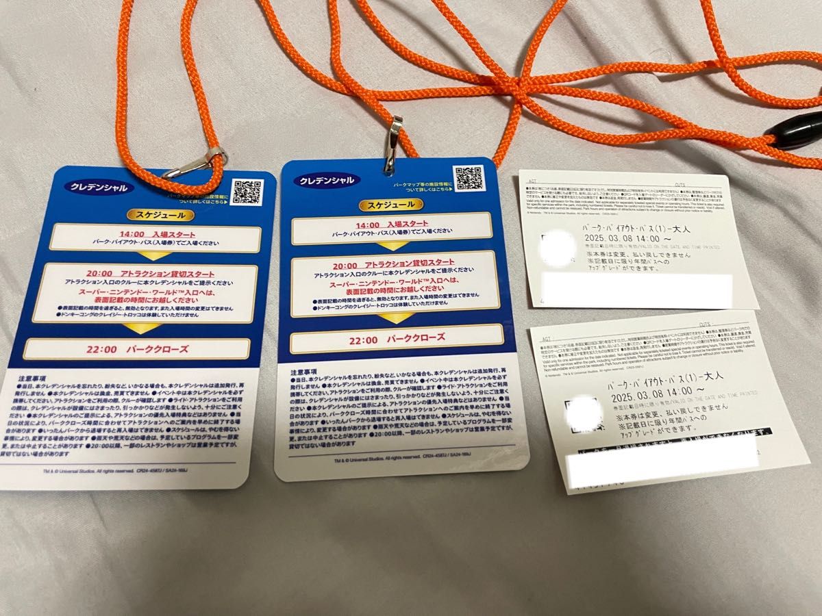 USJ 3/8(土) 貸切 チケット 2枚 ニンテンドーワールド入場可 USJ 3/8(土) 貸切 チケット 2枚 ニンテンドーワールド入場可