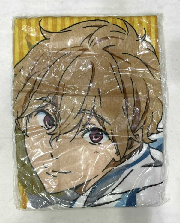 SALE アニメK 十束多々良 オンラインくじ S賞 バスタオル B賞 葉月渚 プールサイドタオル】Free!くじ バスタオル タオル