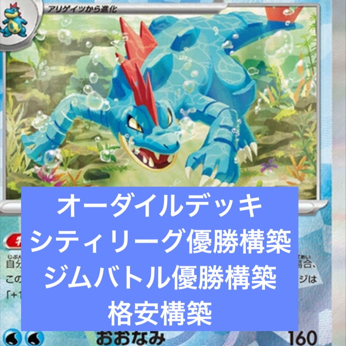 構築済みデッキ ポケモンカードゲーム 格安構築 オーダイル 構築済みデッキ ポケモンカードゲーム 格安構築 オーダイル