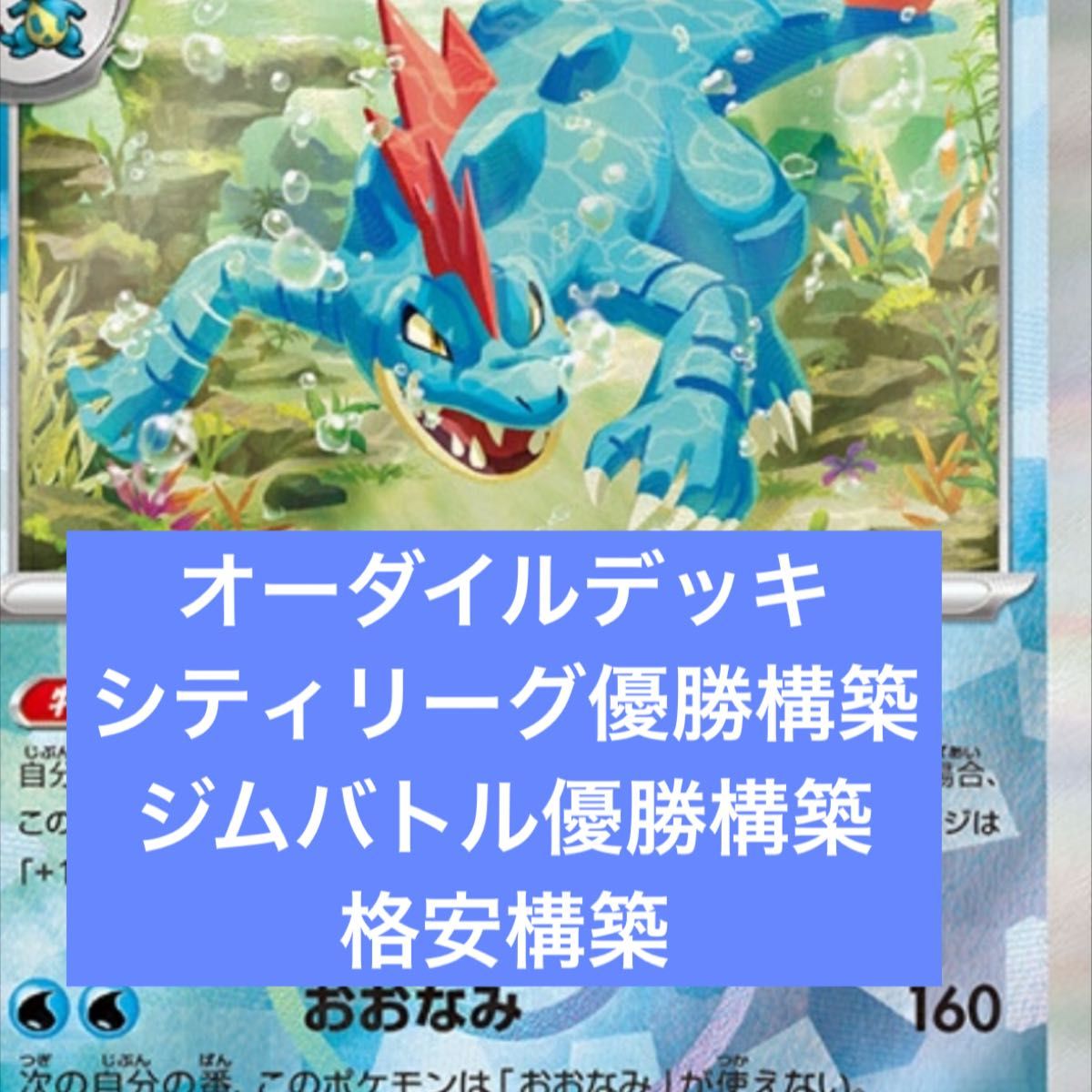 構築済みデッキ ポケモンカードゲーム オーダイルデッキ 最安値 構築済みデッキ ポケモンカードゲーム オーダイルデッキ 最安値