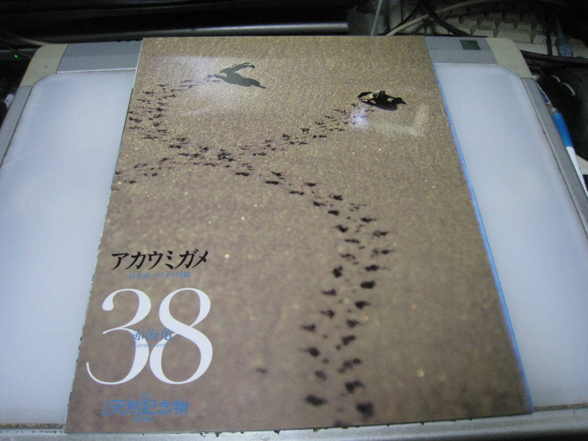 週刊日本の天然記念物動物編38 アカウミガメ模型冊子付小学館竞价 週刊日本の天然記念物動物編38 アカウミガメ模型冊子付小学館竞价