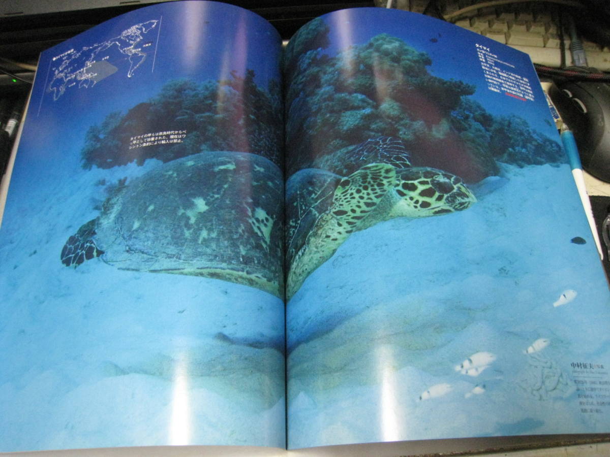 週刊日本の天然記念物動物編38 アカウミガメ模型冊子付小学館竞价 週刊日本の天然記念物動物編38 アカウミガメ模型冊子付小学館竞价