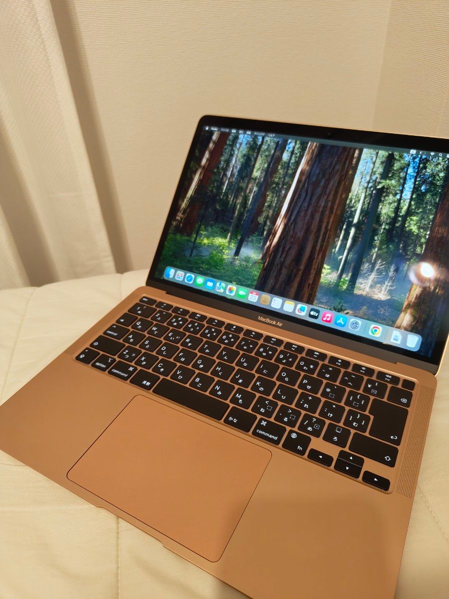 Apple MacBook Air 2020 M1/RAM 8GB/SSD 256GB Apple MacBook Air 2020 M1/RAM 8GB/SSD 256GB