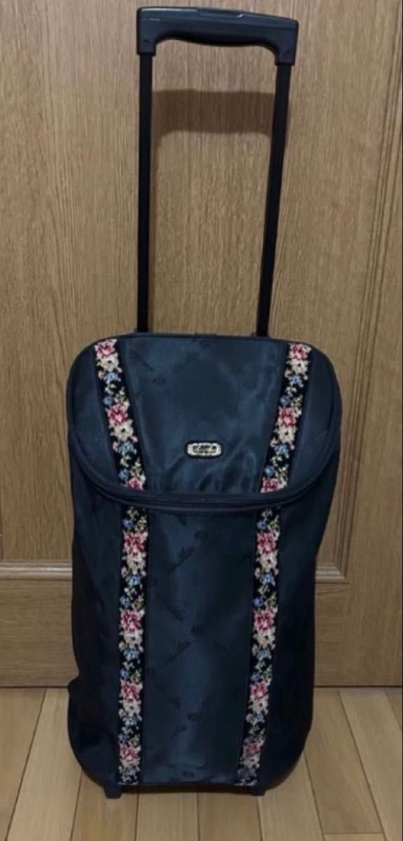 レイクアルスター Lake Alster ショッピングカート キャリーバッグ