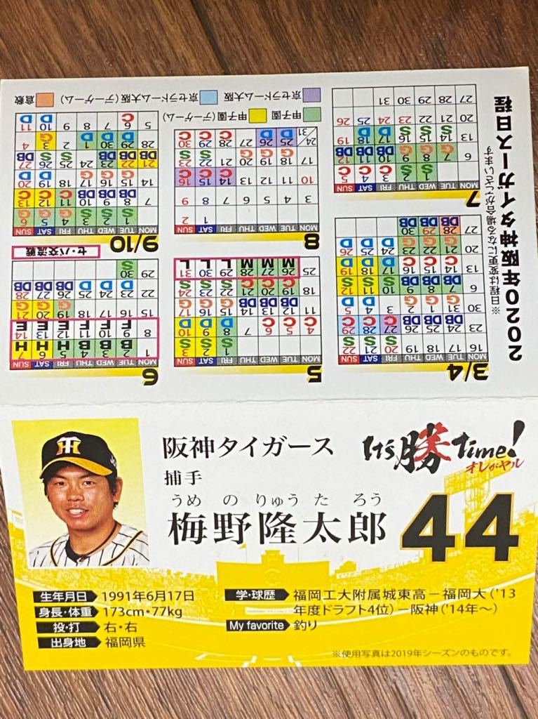 阪神タイガース 44 梅野隆太郎 名刺カード 沖縄 キャンプ 宜野座 限定 非売品 新品 2020年 レア 即決_画像3