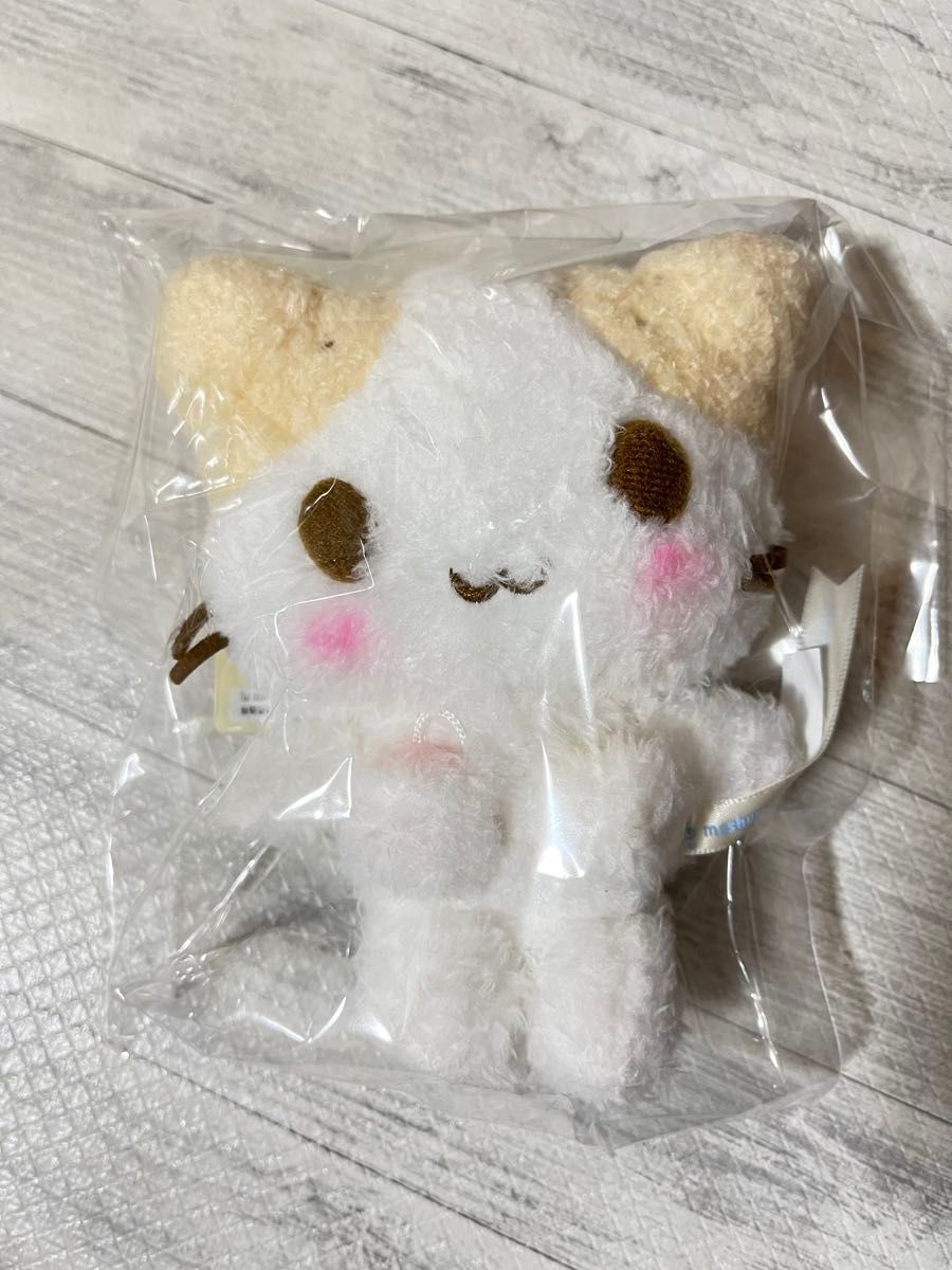 サンリオ ねこの会 マシュマロみたいなふわふわにゃんこ サンリオ ねこの会 マシュマロみたいなふわふわにゃんこ