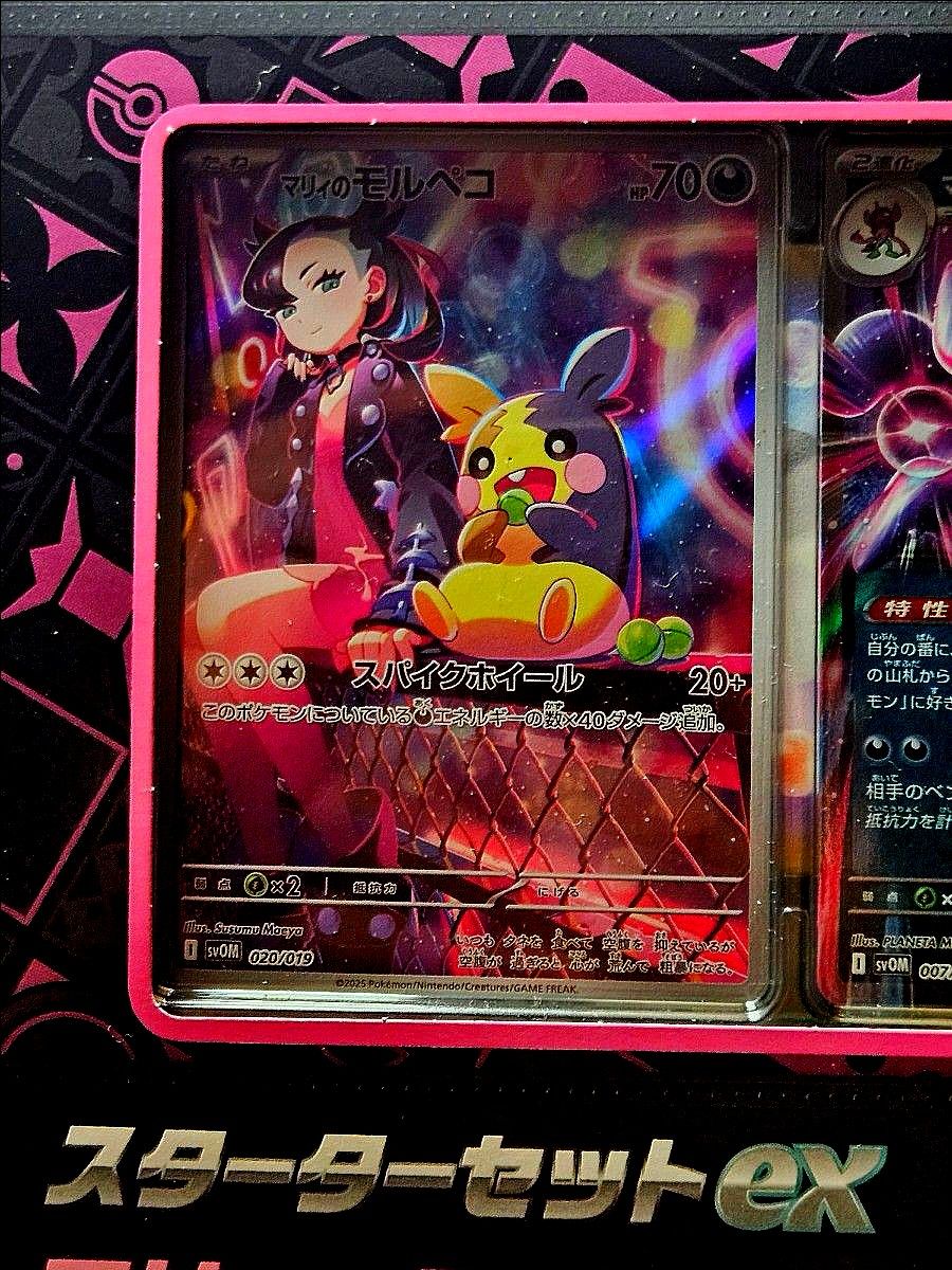 マリィのモルペコ AR|Yahoo!フリマ(旧PayPayフリマ) マリィのモルペコ AR|Yahoo!フリマ(旧PayPayフリマ)