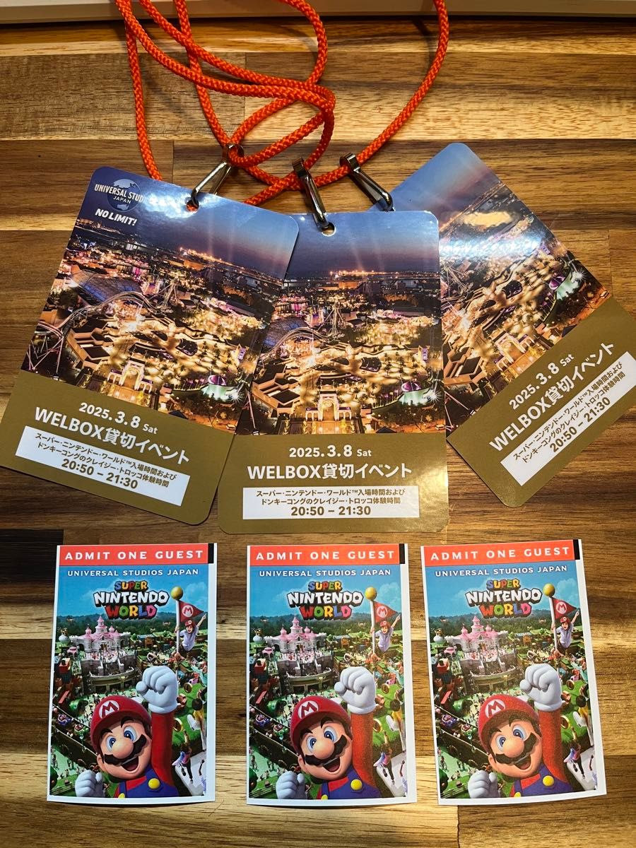 USJ チケット 3月8日 貸切ナイト 3名 スーパーニンテンドー USJ チケット 3月8日 貸切ナイト 3名 スーパーニンテンドー