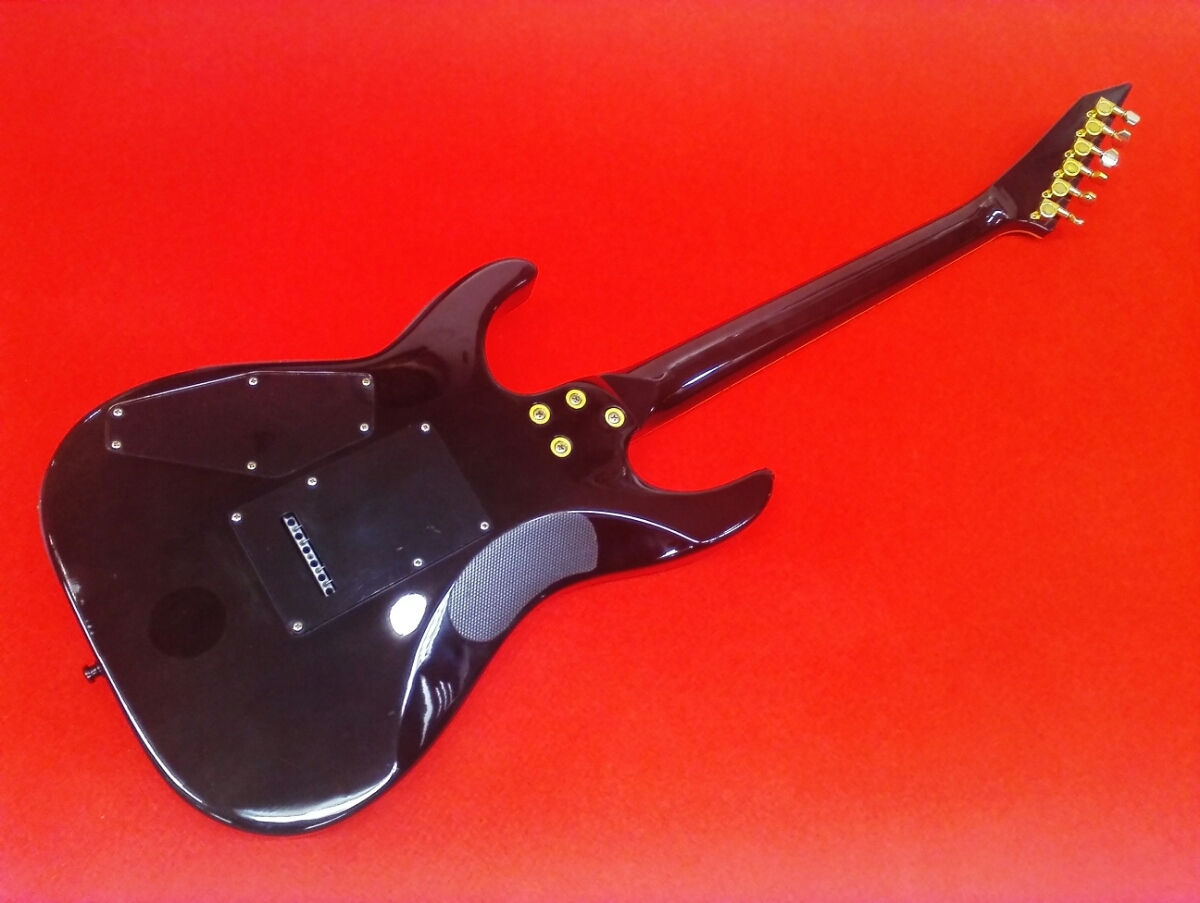 GRASS ROOTS グラスルーツ ギター エレキギター 変形ストラトキャスタータイプ ESP ソフトケース付き 送料無料です