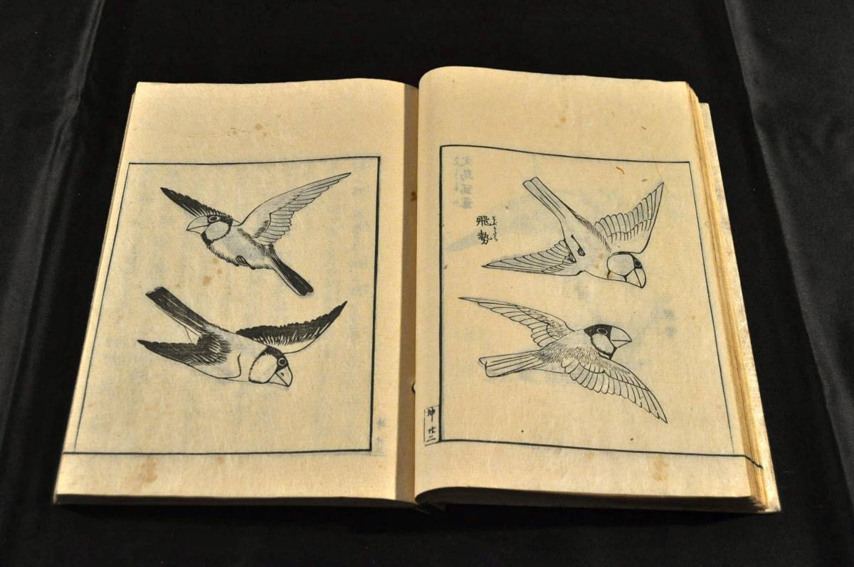 中古】 中国陶磁 トプカプ・サライ・コレクション (1974年) 古書 中古】 中国陶磁 トプカプ・サライ・コレクション (1974年) 古書