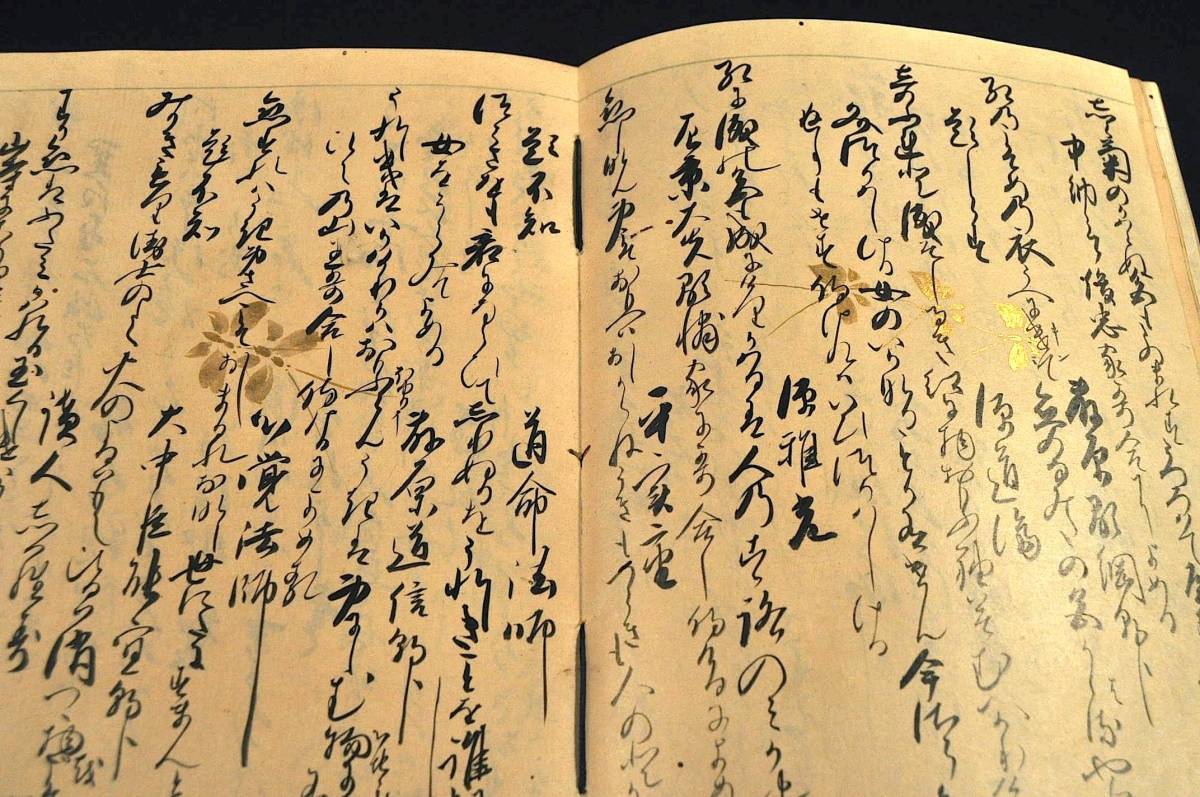 雁木之記 附素堂誹聯 五俳哥僊 芭蕉の友人山口素堂の著作 「目に 雁木之記 附素堂誹聯 五俳哥僊 芭蕉の友人山口素堂の著作 「目に