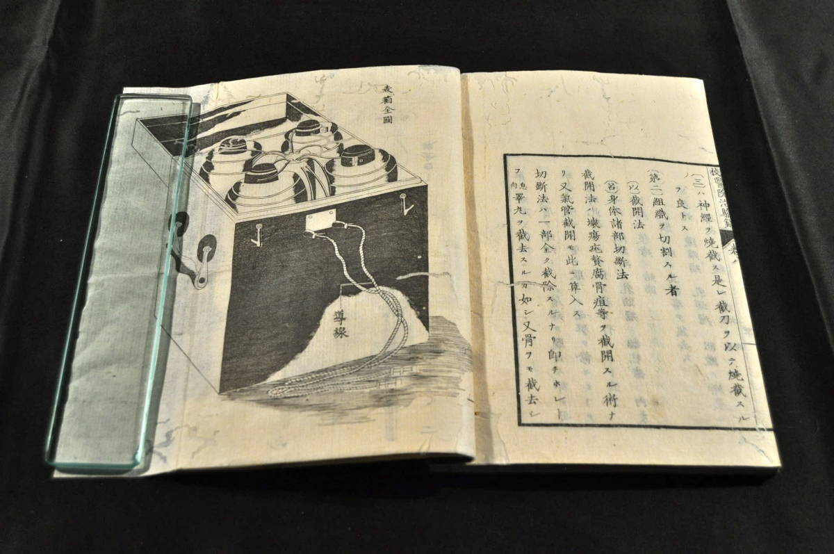 治驗録 十一巻揃 島霞谷画 治驗録 十一巻揃 島霞谷画