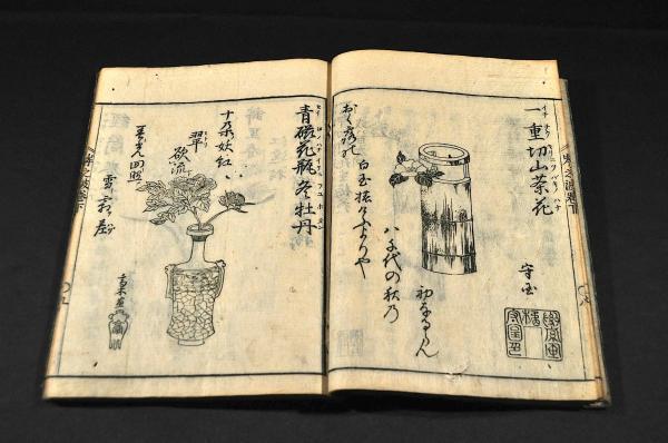 本朝瓶史 抛入岸の波 上下巻 浪華隠士/釣雪野叟編輯 浪華画工 本朝瓶史 抛入岸の波 上下巻 浪華隠士/釣雪野叟編輯 浪華画工