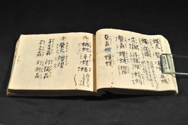 魚貝鳥獣虫語彙集 旙羅郡間々田村/青木勇七郎應延 魚貝鳥獣虫語彙集 旙羅郡間々田村/青木勇七郎應延