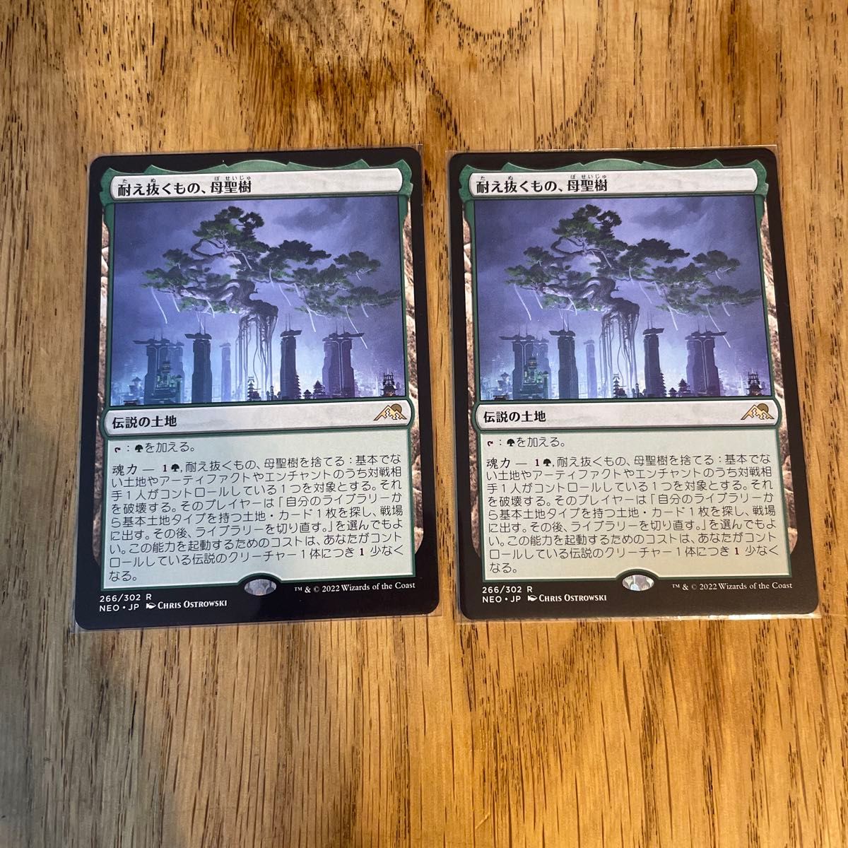 耐え抜くもの、母聖樹 2枚セット 日本語版 mtg MTG 日本語 耐え抜くもの、母聖樹 2枚