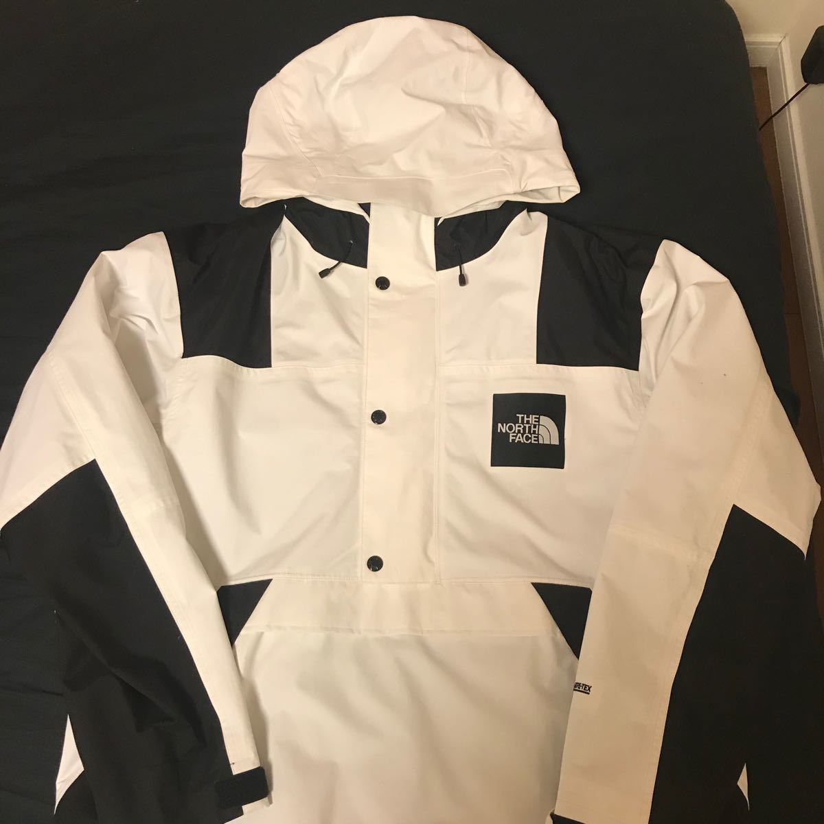 THE NORTH FACE RAGE GTX Shell  jacket