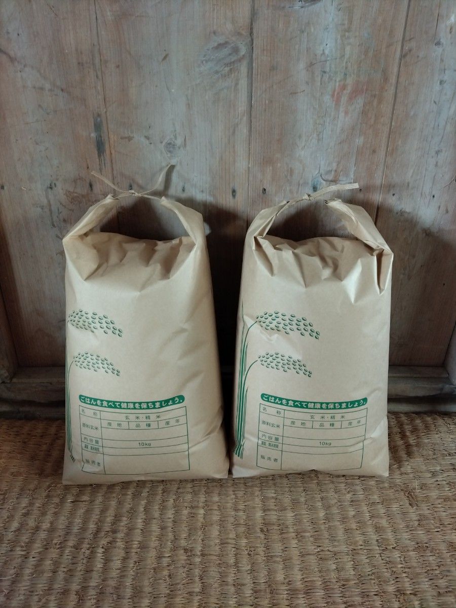 令和6年 富山県産コシヒカリ 玄米20kg(10kg2袋) 新米 農家直送 精米無料