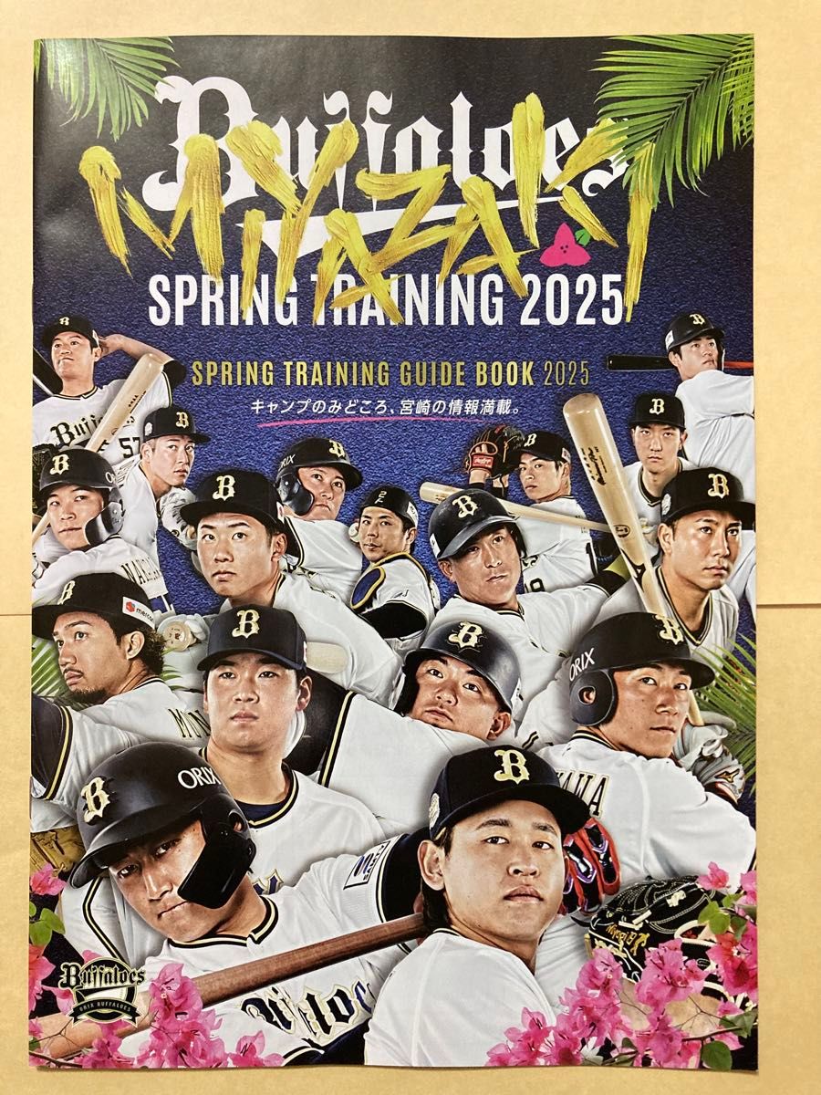 西武ライオンズ 隅田知一郎 サイン 色紙 16 宮崎 南郷 キャンプ 西武ライオンズ 隅田知一郎 サイン 色紙 16 宮崎 南郷 キャンプ