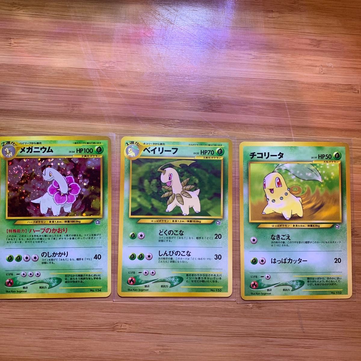 ポケモンカード 旧裏面 ポケモンカードネオ チコリータ ポケモンカード 旧裏面 ポケモンカードネオ チコリータ