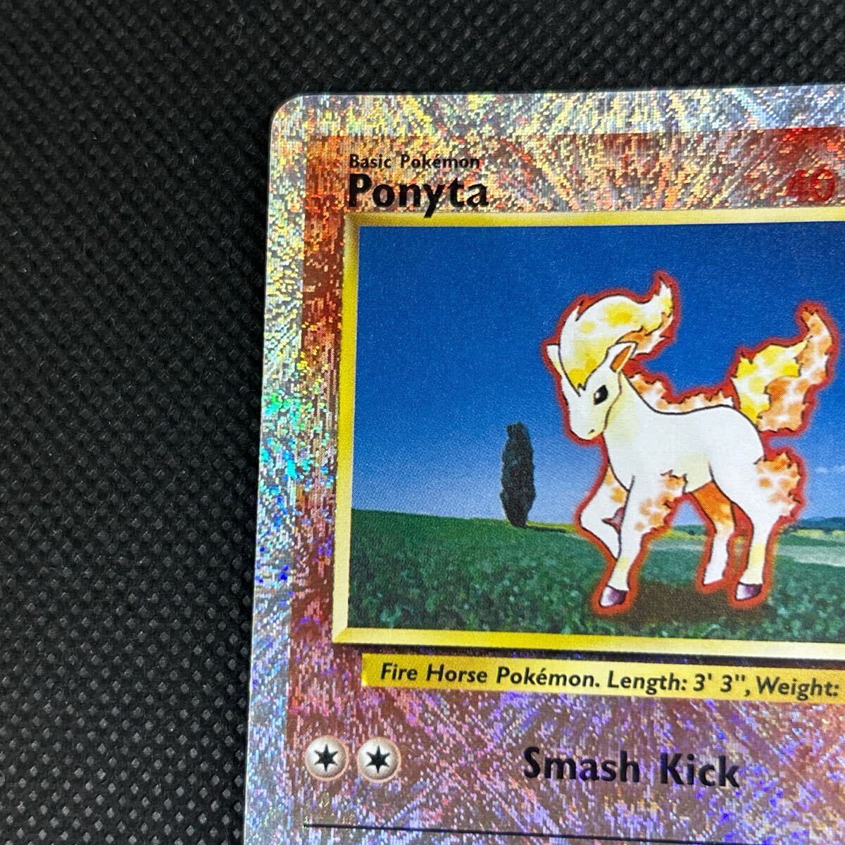 ポケモンカード 英語版 リバースホロ ポニータ レジェンダリー ポケモンカード 英語版 リバースホロ ポニータ レジェンダリー