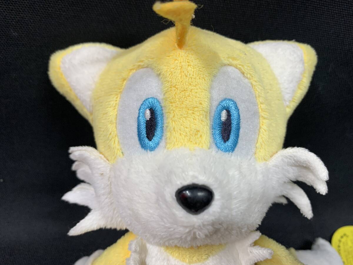 三英貿易 SEGA ソニック ザ ヘッジホッグ ぬいぐるみ ソニック+ 三英貿易 SEGA ソニック ザ ヘッジホッグ ぬいぐるみ ソニック+