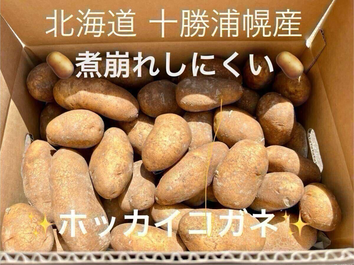 みんなに食されて40年 雪夏稚(せっかち)くんのじゃがいも20kg 北海道十勝浦幌産 ホッカイコガネ