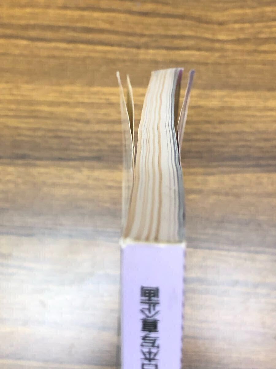 日本フォトコンテスト　1991年9月號 (表紙　小田茜)