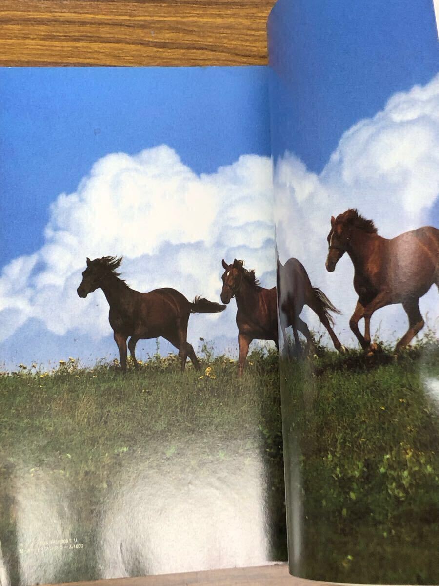 日本フォトコンテスト　1991年9月號 (表紙　小田茜)