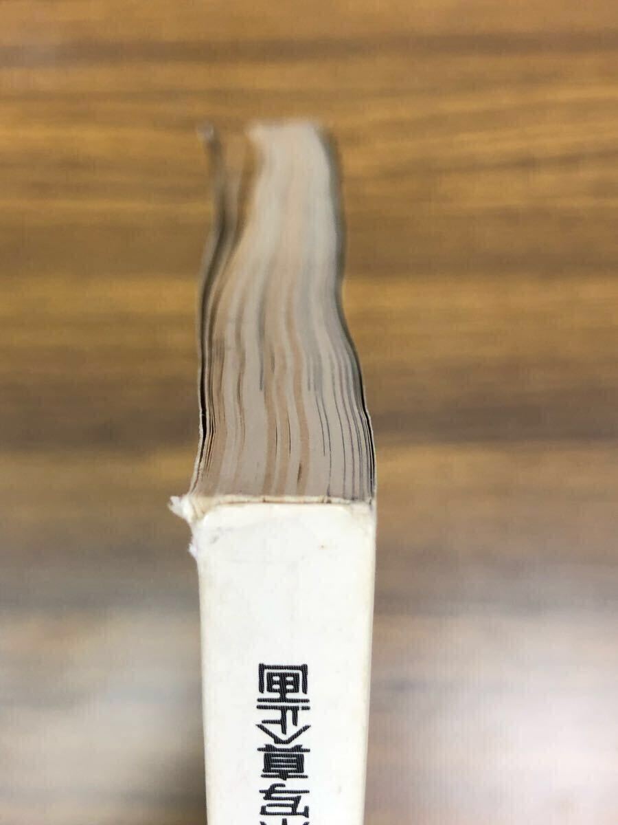 日本フォトコンテスト　1990年4月號 (表紙　井森美幸)