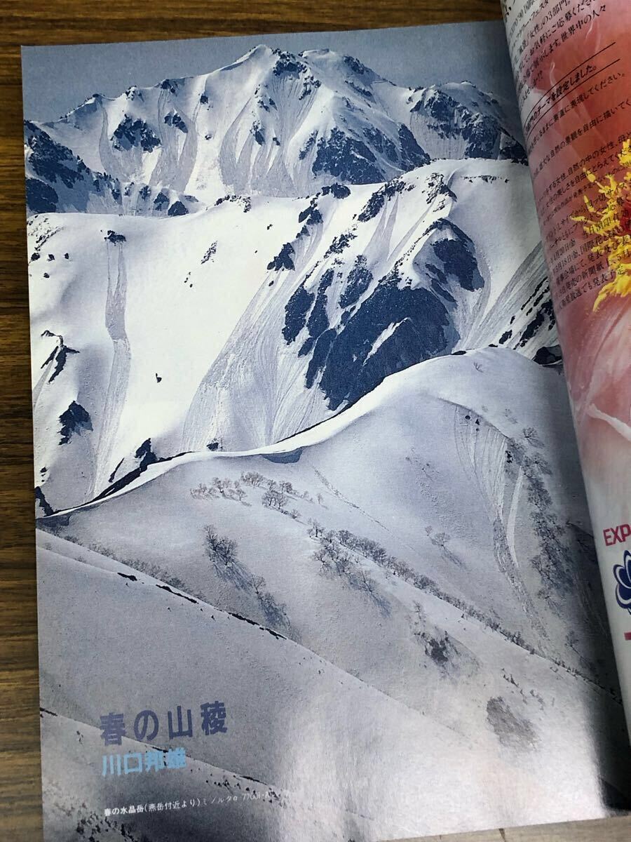 日本フォトコンテスト　1990年4月號 (表紙　井森美幸)