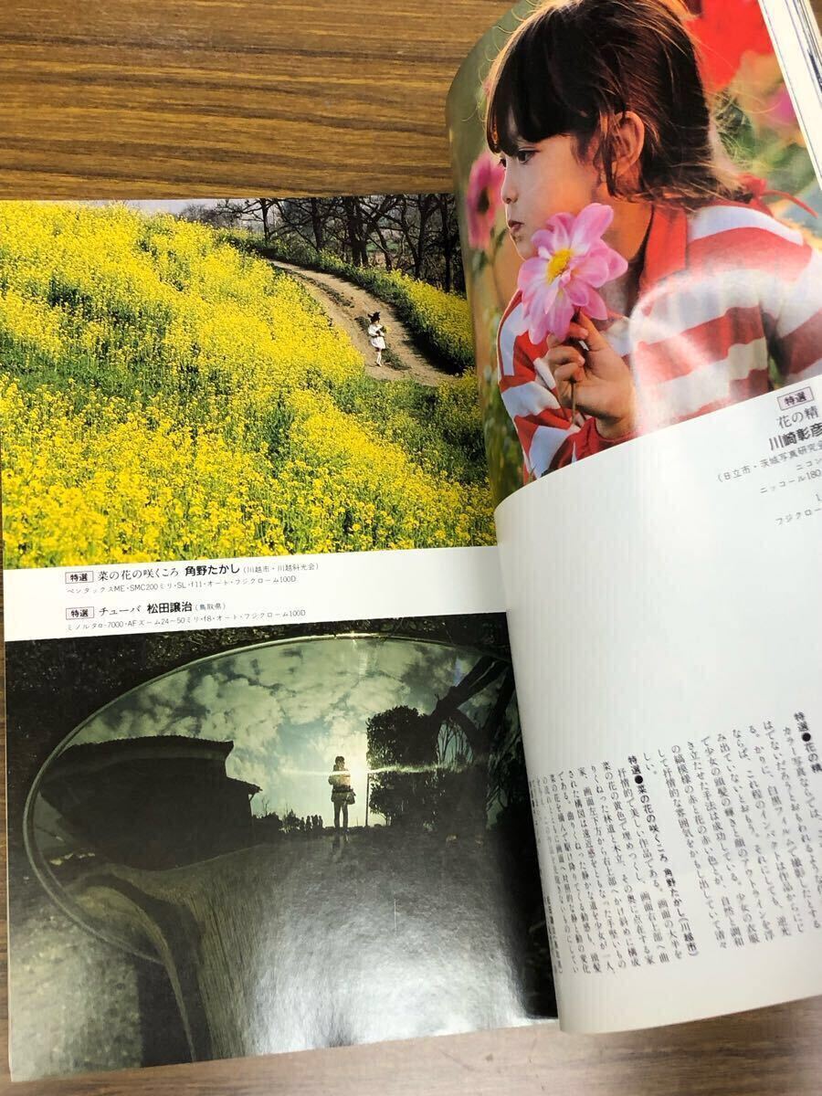 日本フォトコンテスト　1990年4月號 (表紙　井森美幸)