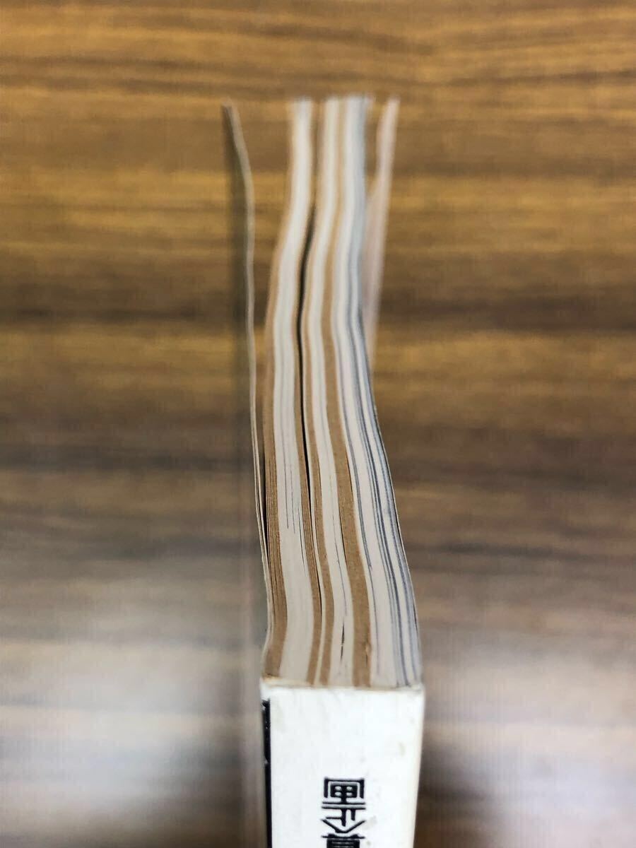 日本フォトコンテスト　1989年1月號(hào) (表紙　山口美江)