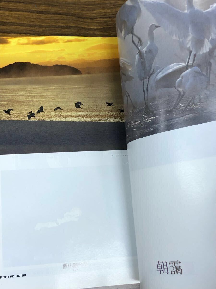 日本フォトコンテスト　1989年1月號(hào) (表紙　山口美江)