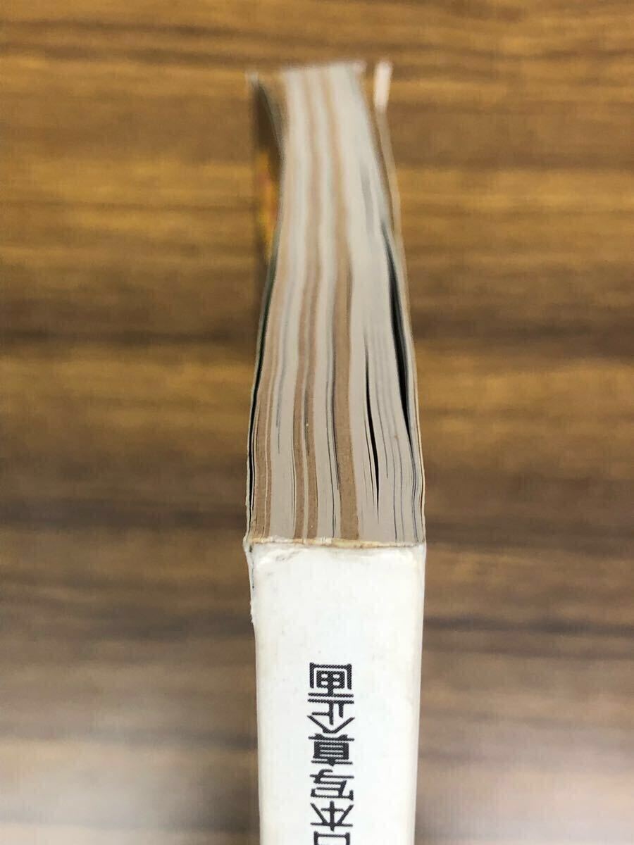 日本フォトコンテスト　1989年11月號(hào)　(表紙　坂上香織)