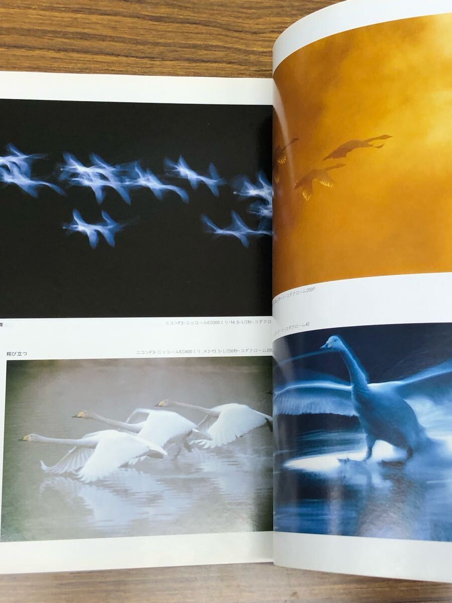 日本フォトコンテスト　1991年12月號 (表紙　梶原まり子)