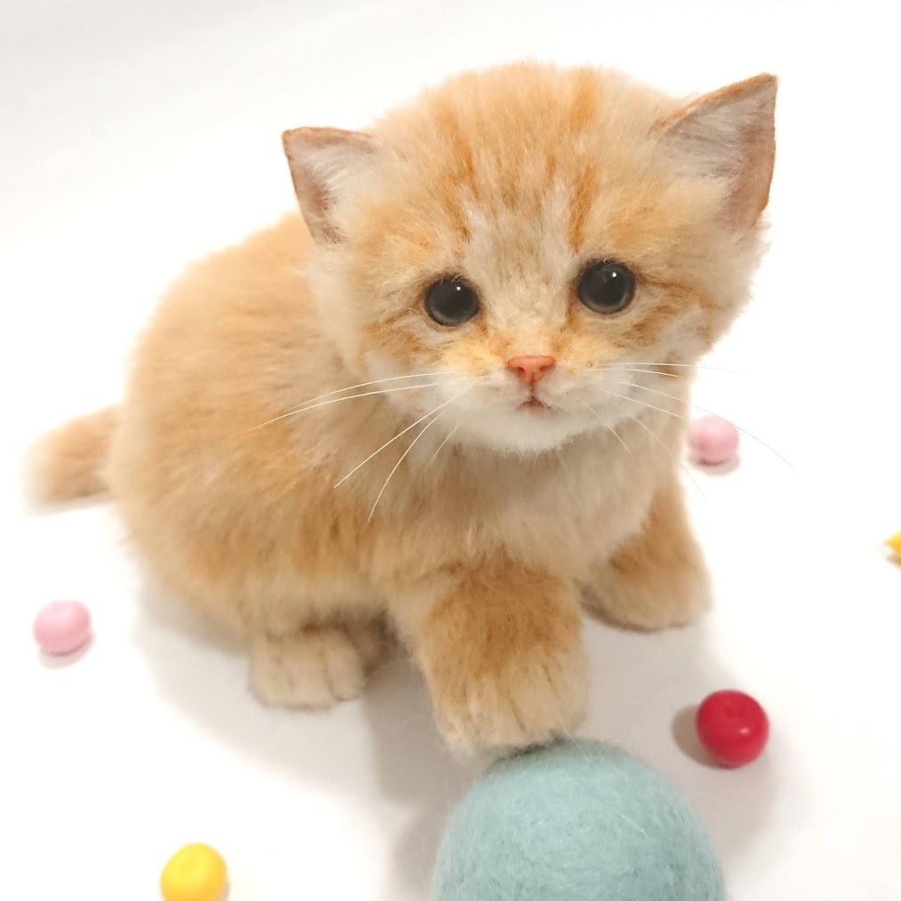LocoMocoNeco 羊毛フェルト 猫 ちょこんとお座りマンチカン 茶