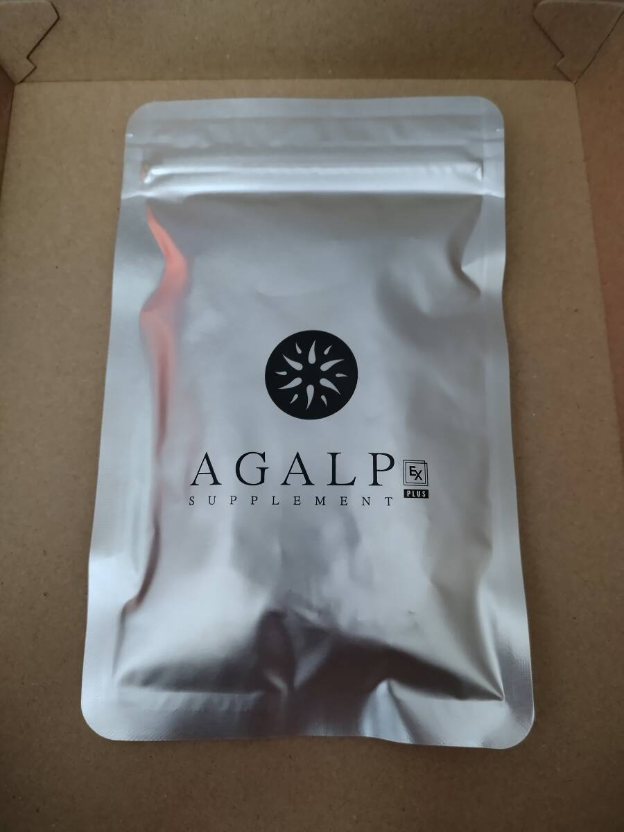 アガルプ　AGALP EX 120粒